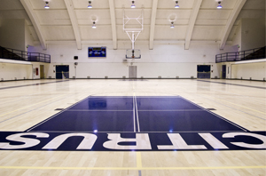 Both Owl Hoops Teams Grab Rankings