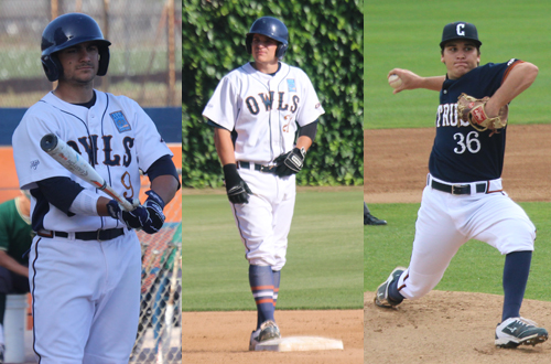 Sophomores Taylor Grace, Troy Resch, and Nicholas Sergi all earned 1st team All-WSC South honors.