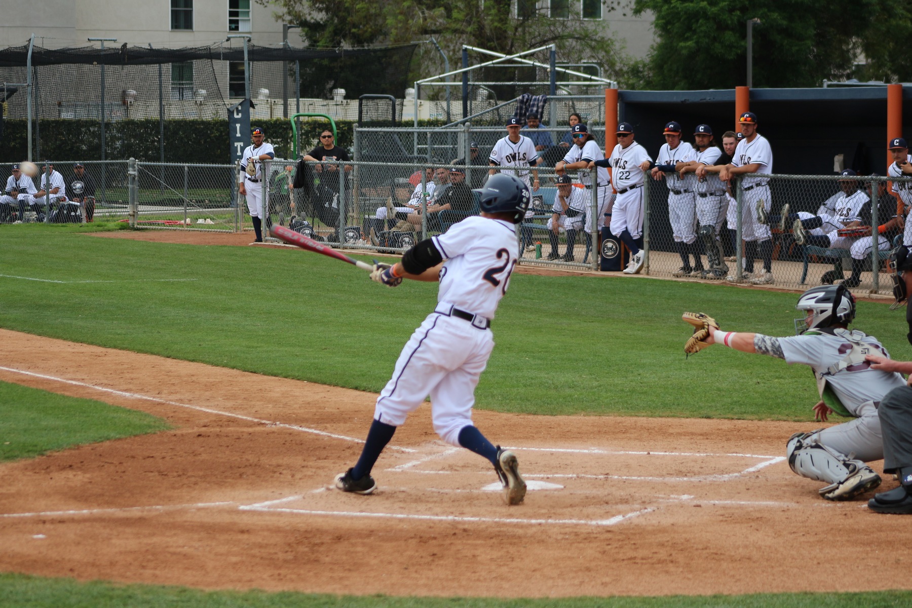 Donovyn Curiel has been hot from the plate in March.