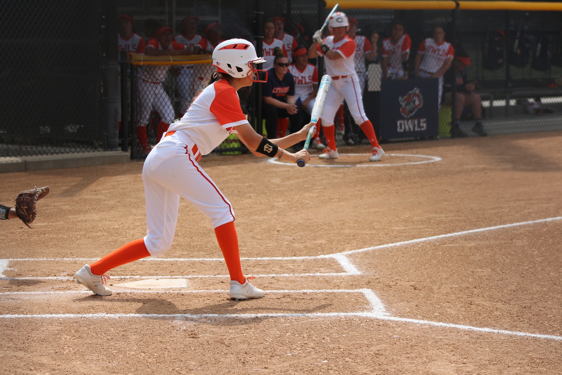 Despite Late Rally, Citrus Comes Up Short at Antelope Valley