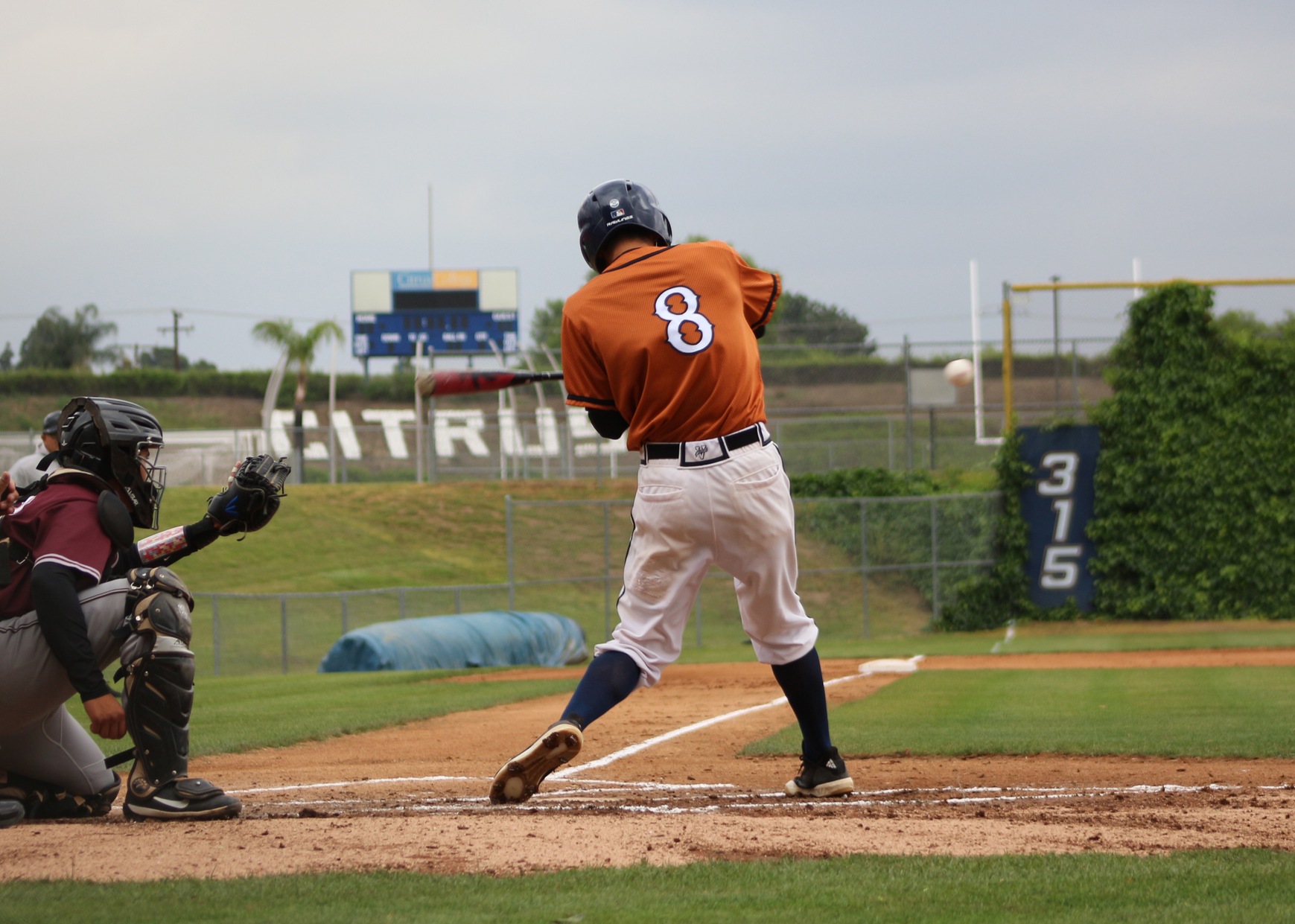 Owl offensive powerhouse Kanta Kobayashi takes a big swing. Image: Ayla Ahmed