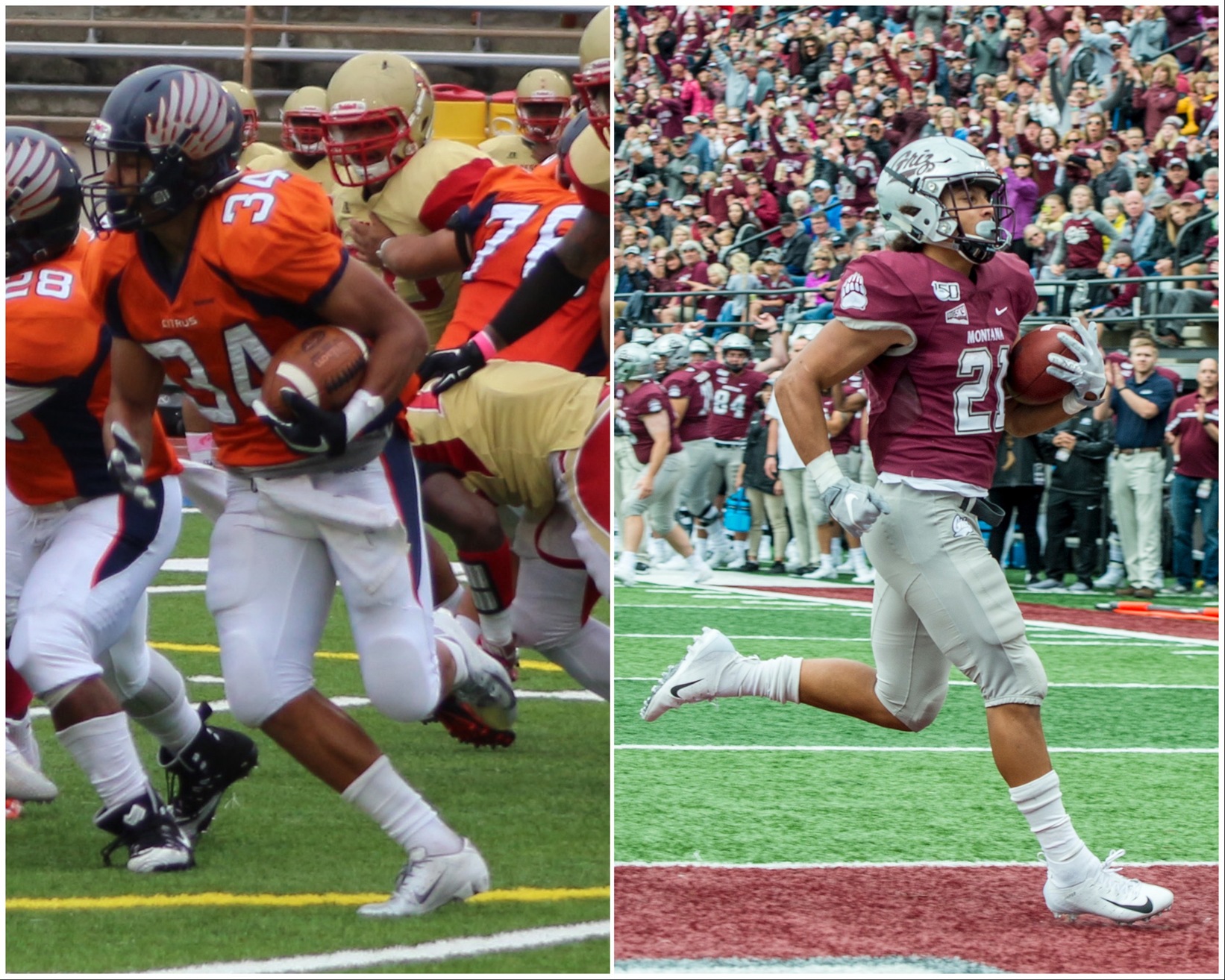 Former Citrus College Football student-athlete Marcus Knight has turned a promising freshman campaign for the Owls into a record-breaking sophomore season for the University of Montana. University of Montana Photo Courtesy of Montana Athletics.