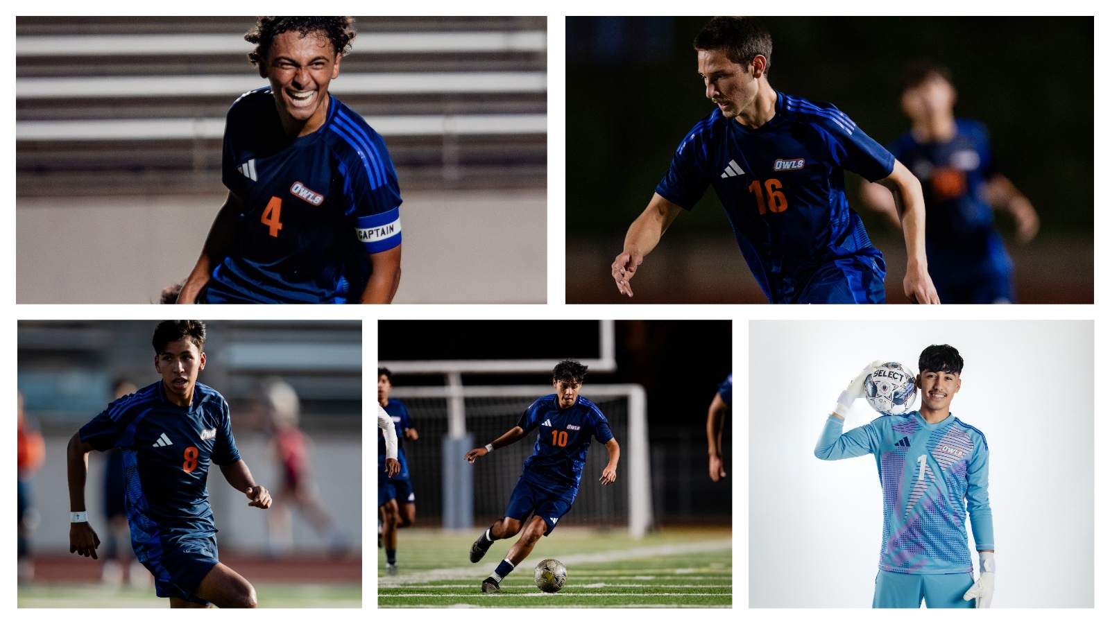 Five Owls Pick Up All-WSC Honors
