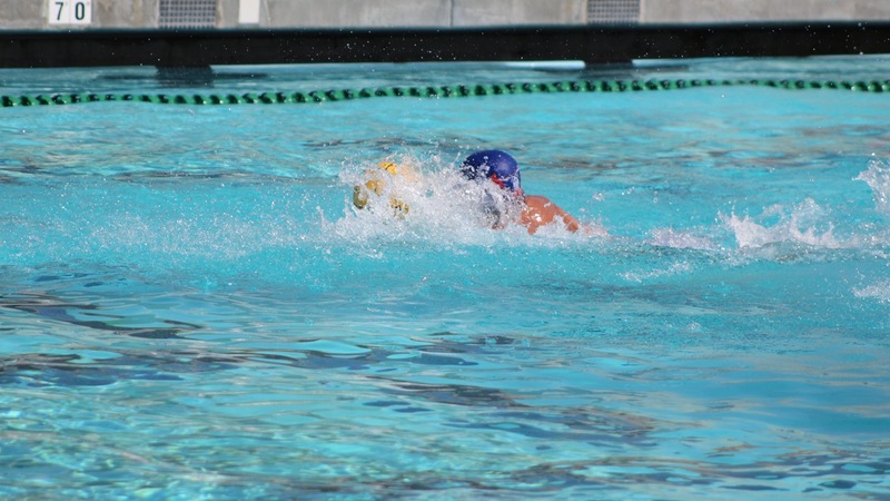 Owls Take on Jaguars and Comets
