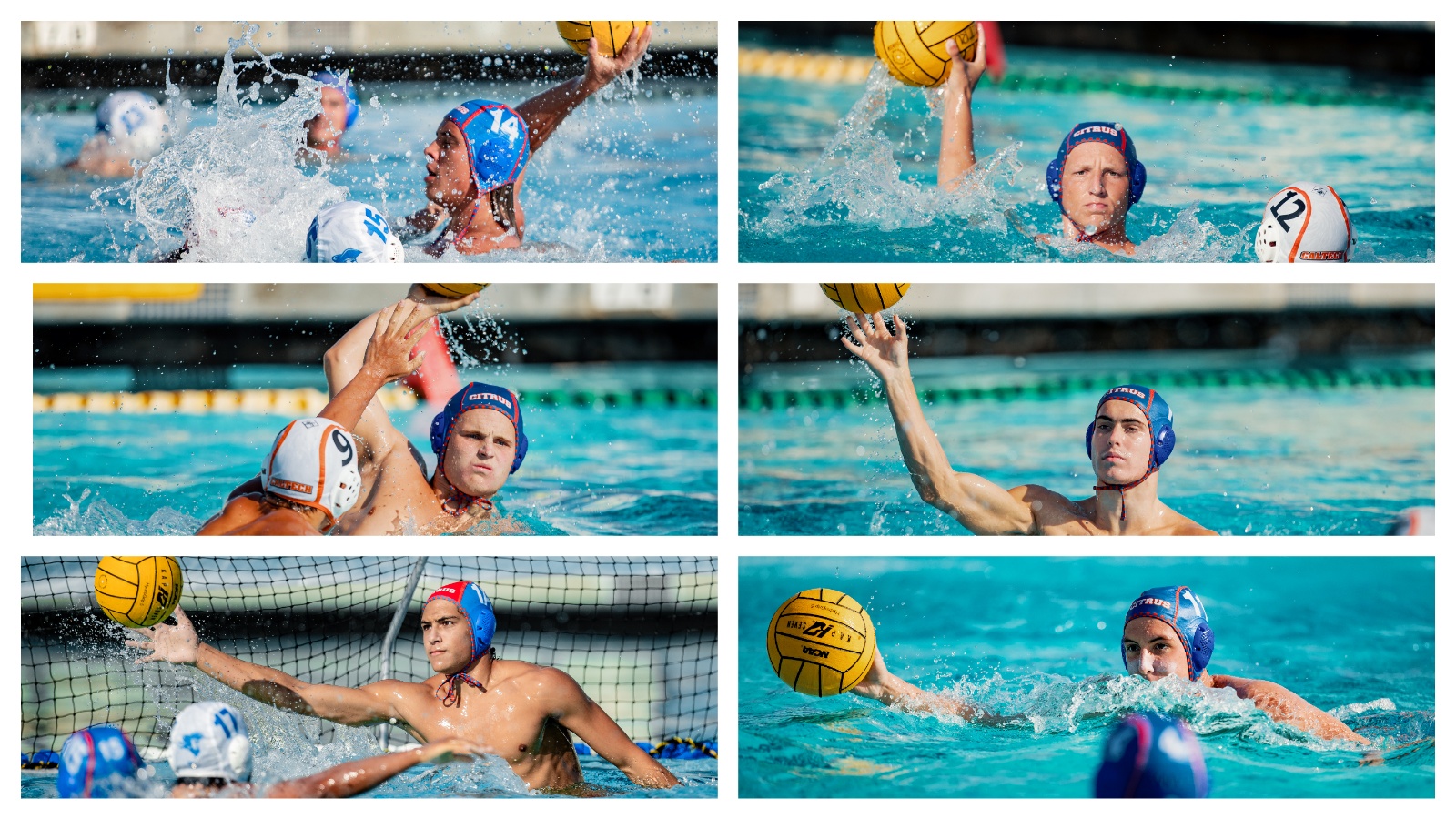 Photos by Jordan Carroll
