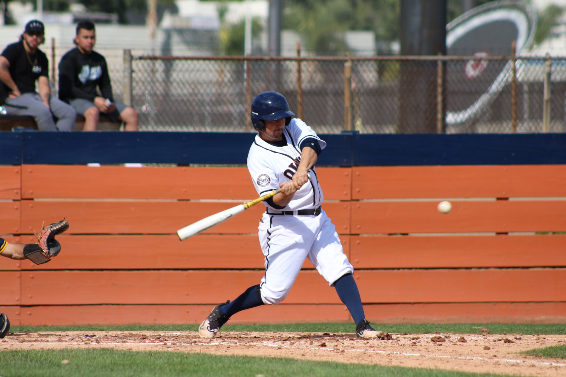 Andre Flores connects for a home run.