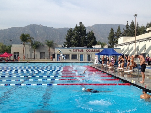 The Owls successfully hosted their first WSC Meet in three years on Friday. Photo By: Liza Sullivan
