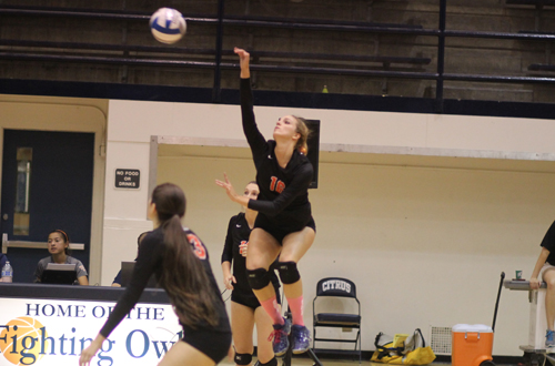 Freshman LeAna D'Aquila had arguably her best match of the 2014 season on Wednesday, with seven kills against just two errors. Photo By: Robert Lopez