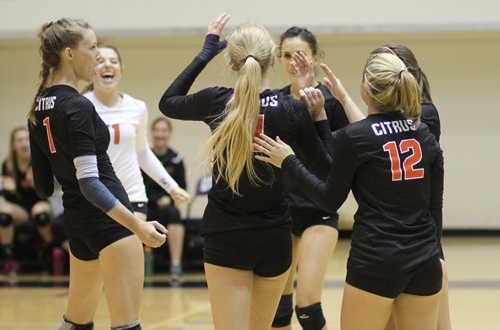 The Owls were swept in straight sets on Friday.