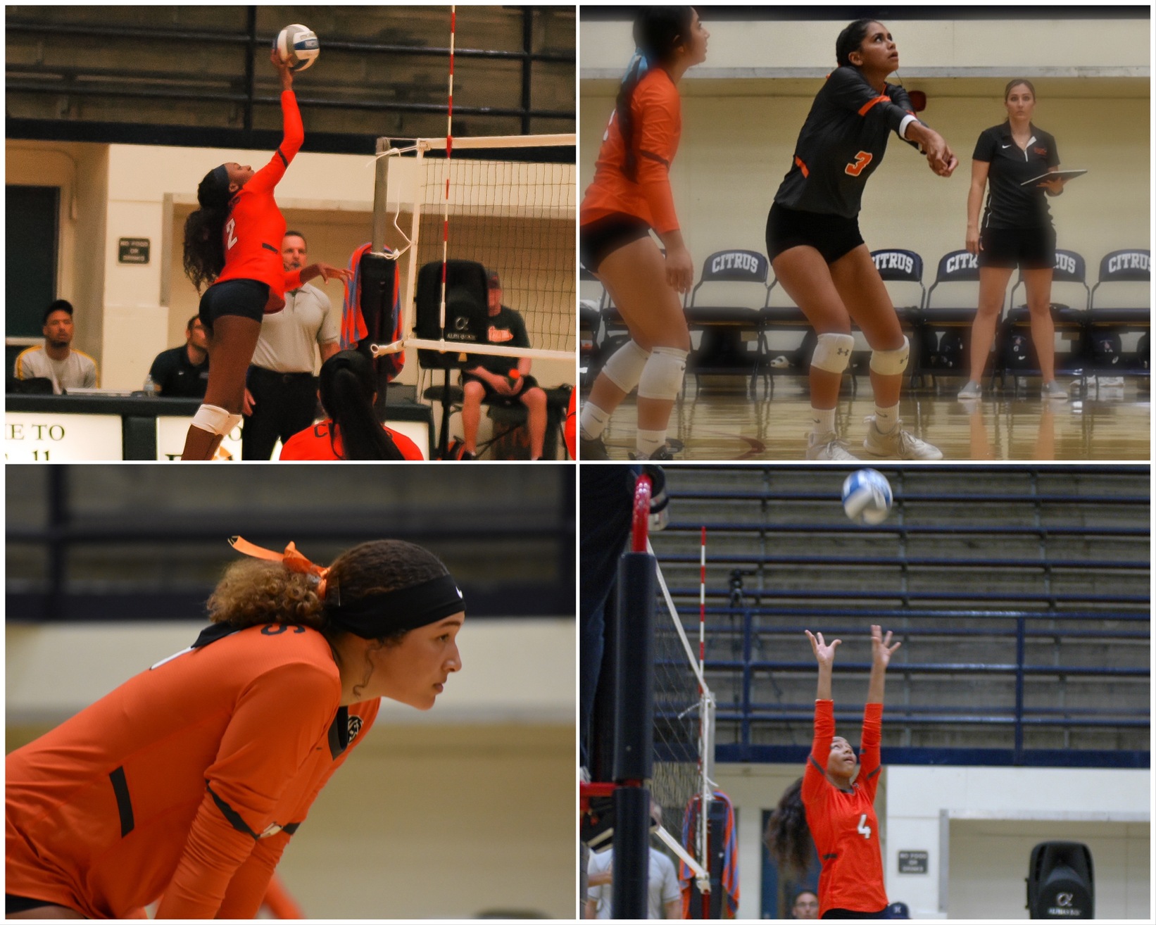 From left to right clockwise. Nia Nix, Aaliyah Robles, Vanessa Warren, and Danielle Rogers.