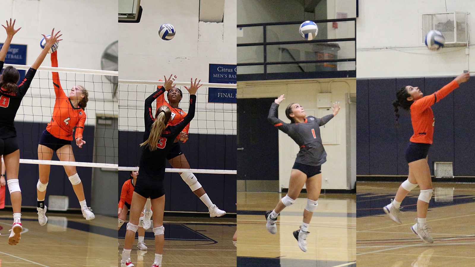 Four Owls Grab All-WSC Honors