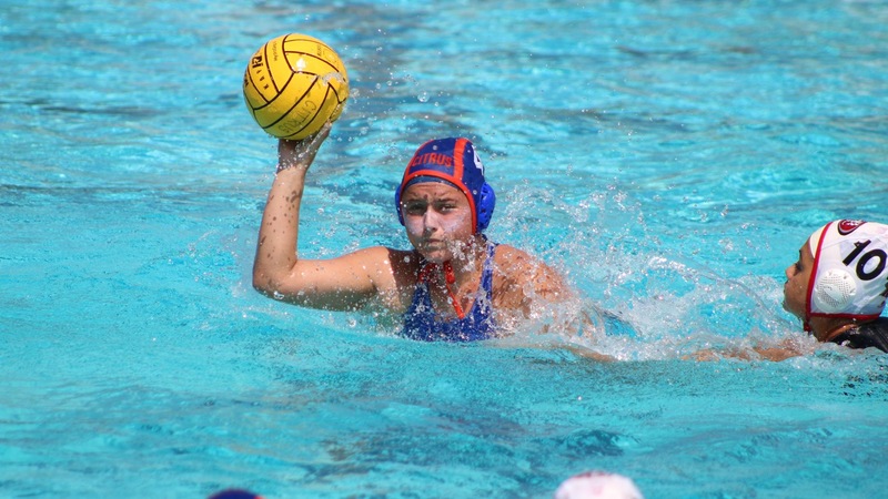 Pirates Keep Owls at Bay
